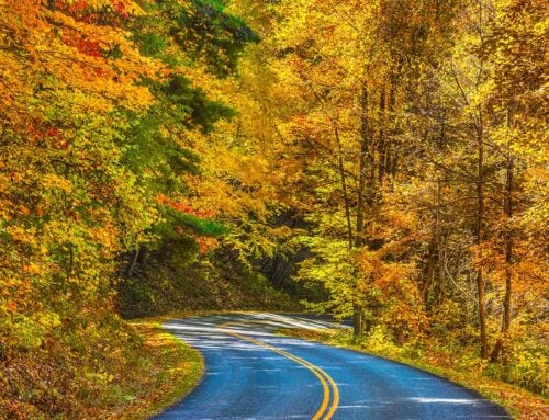 Explore Minnesota in the Fall: Lakes, Waterfalls & Boundary Waters Magic