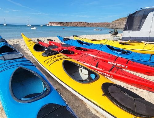 Beautiful Baja Adventure
