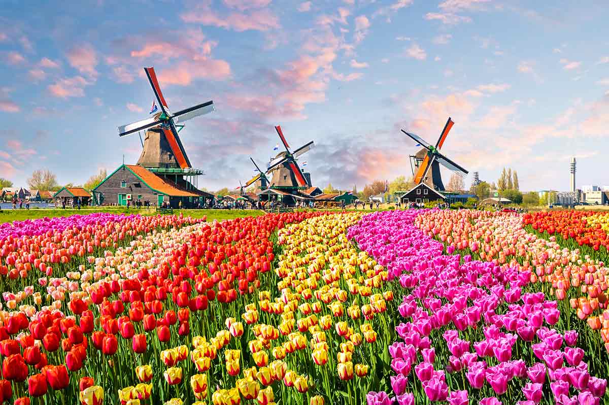 Best time to travel to the Netherlands