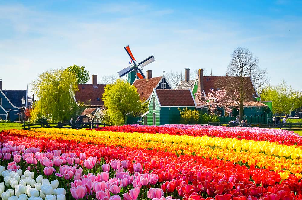 European Tour Packages to The Netherlands