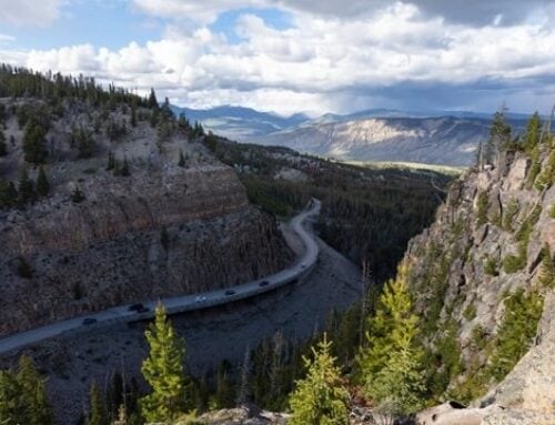 Yellowstone & Grand Tetons Adventure