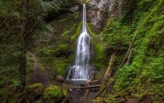 Washington Big 3-2 1200 x 800