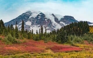Washington Big 3-4 1200 x 800
