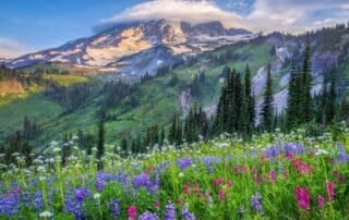 Washington Big 3-11 1200 x 800