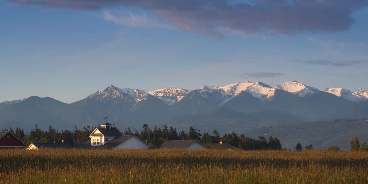 Washington Big 3-8 1200 x 600