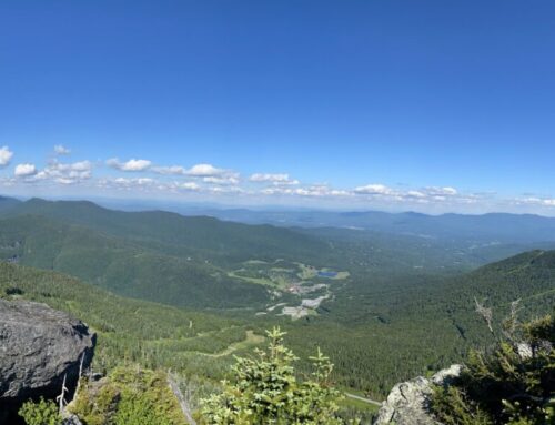 The Stories of Stowe