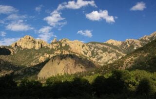 Golden cliffs above Cave Creek Canyon near Portal, Arizona