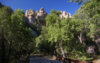 Road through Cave Creek Canyon beneath rocky cliffs