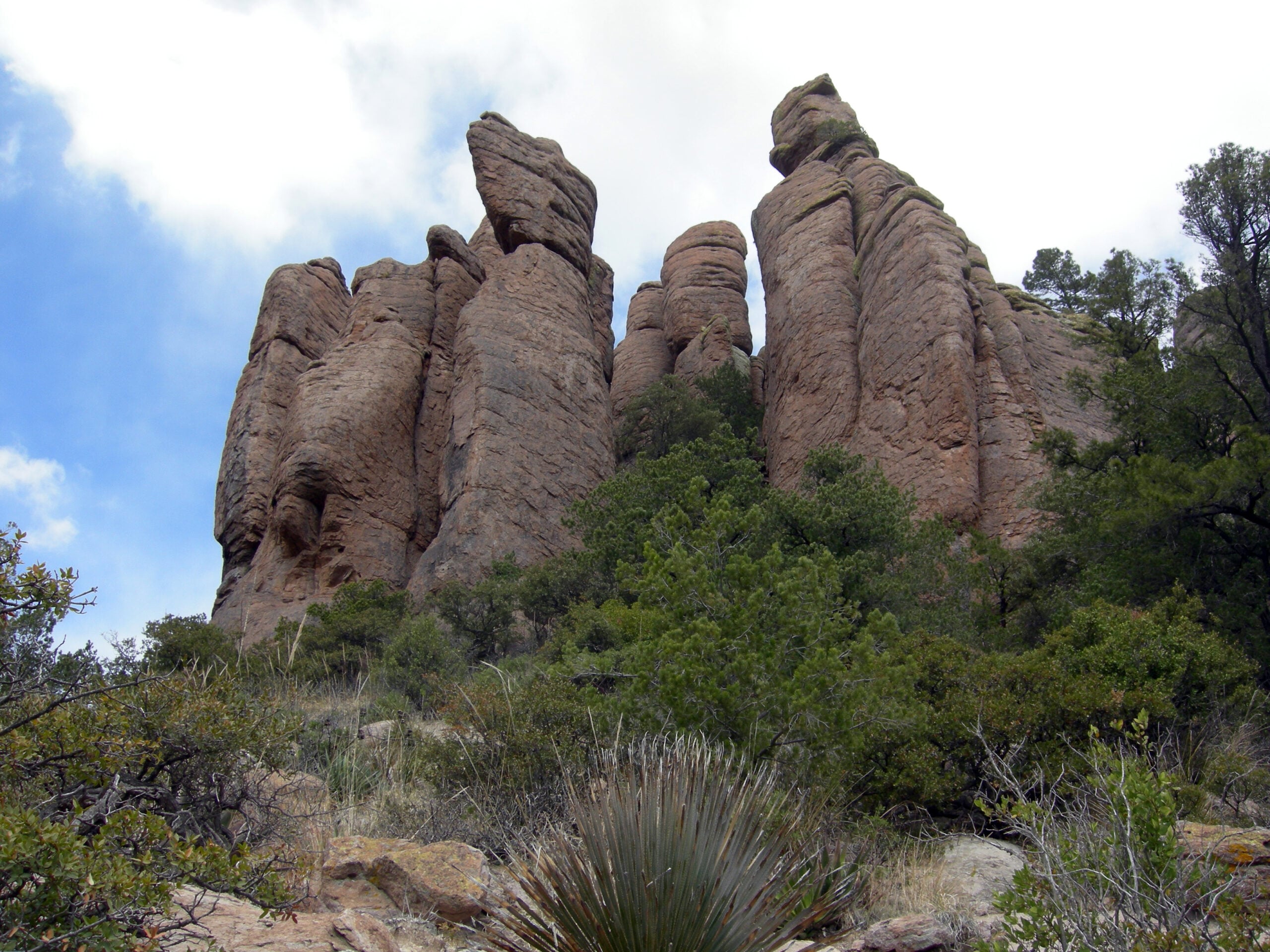 Rhyolite rock hoodoos rising above pine trees in Chiricahua National Park, Arizona